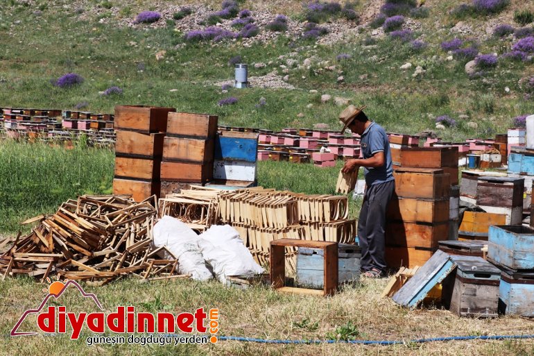 göçer için mesken Karadeniz