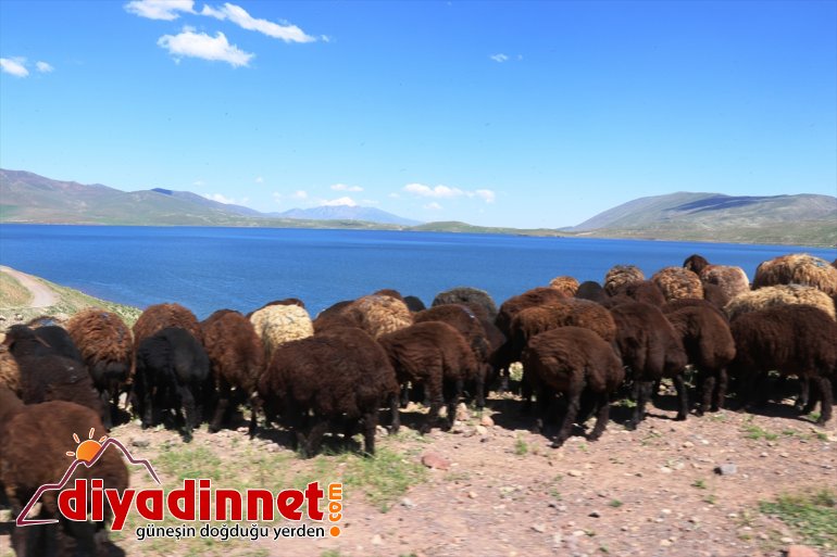 vazgeçilmez AĞRI adresi oldu cennet Gölü - doğa Balık tutkunlarının Saklı 8