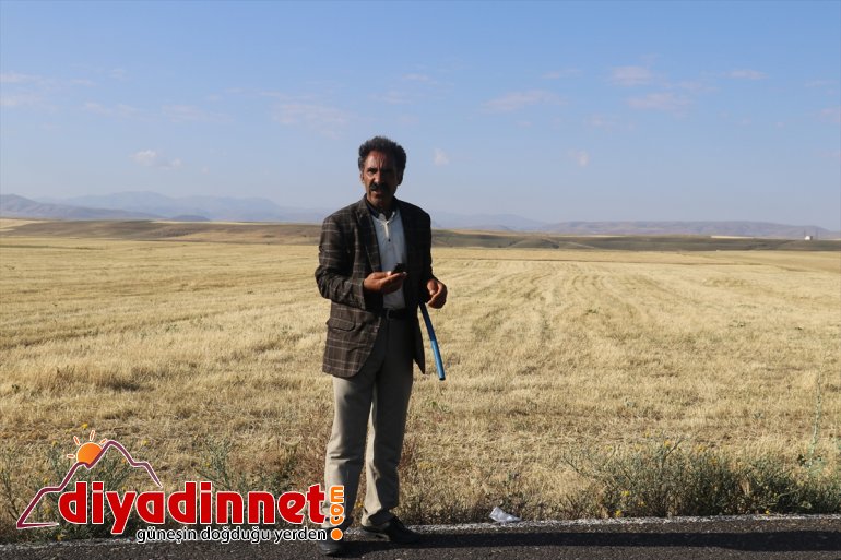 50  kurbanlık ahırdan arazide Ağrı