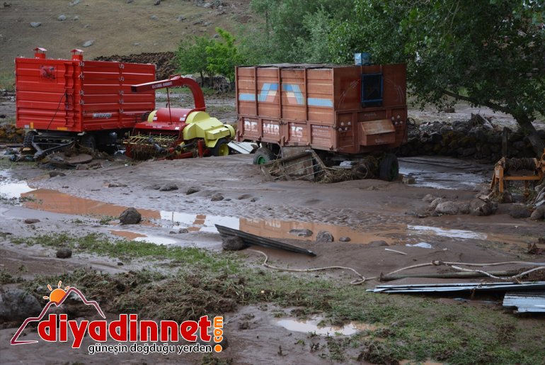 neden etkili olan Ağrı