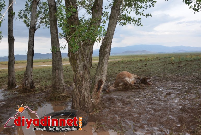 oldu hasara olan neden etkili köylerde sağanak Ağrı