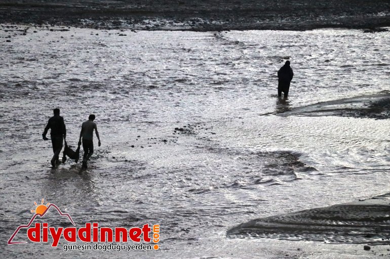 Ağrı'da köylerin zarar gördüğü selde 100'e yakın koyun telef oldu