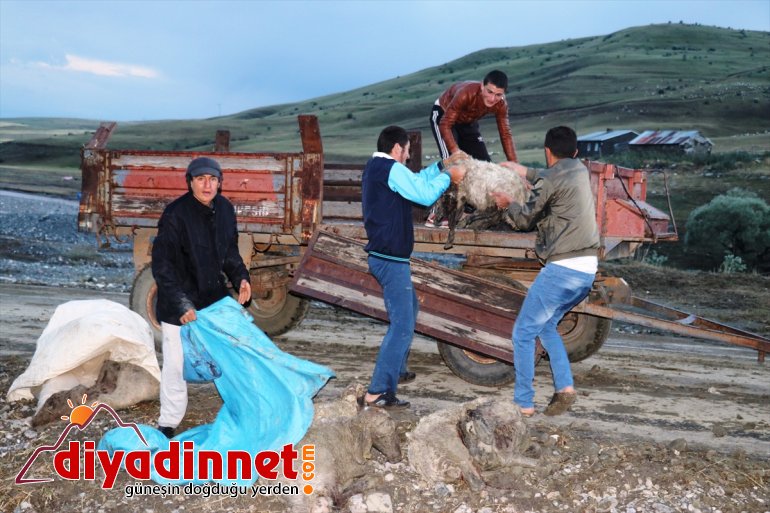 oldu zarar köylerin Ağrı