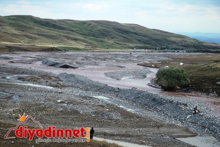yakın koyun telef oldu zarar selde Ağrı