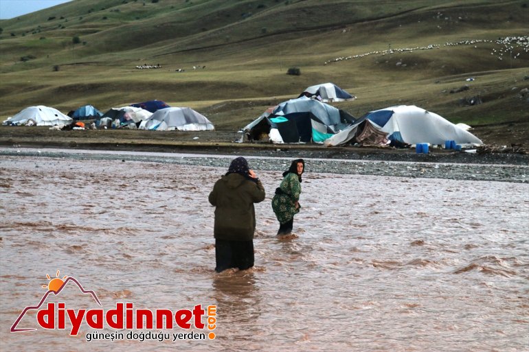 köylerin selde gördüğü koyun zarar telef Ağrı