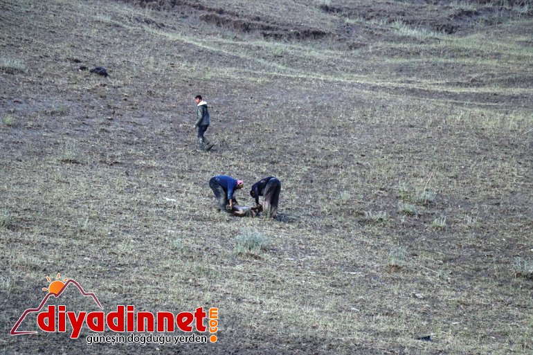 selde köylerin telef zarar Ağrı