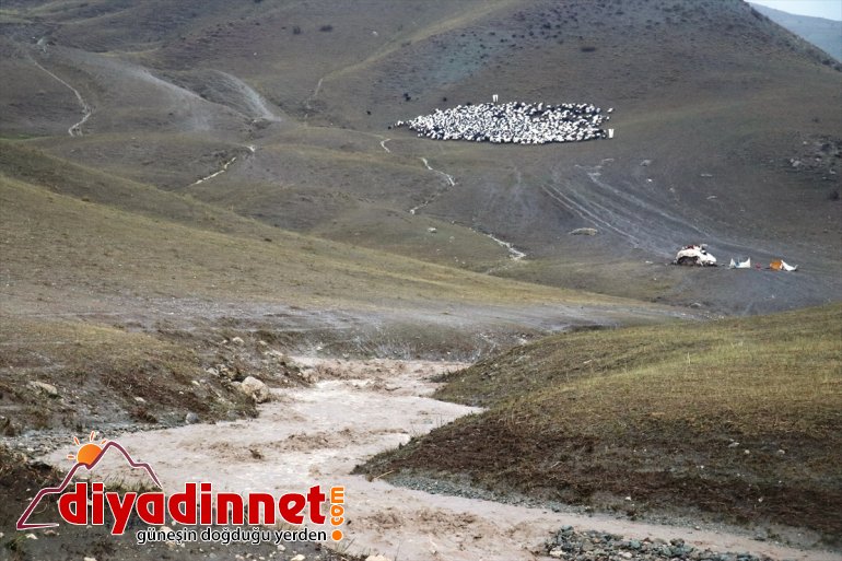 ve sağanak evleri bastı tarım arazilerini bazı Ağrı