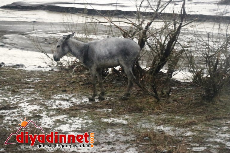 su evleri bastı Ağrı