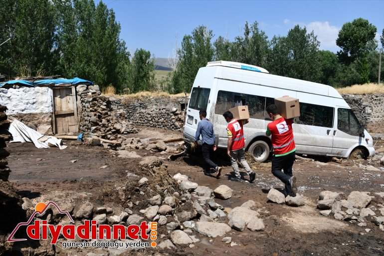 selin çalışmalarına hasar Ağrı