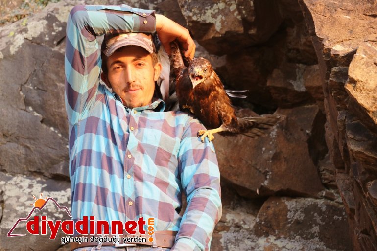 Ağrılı çobanlardan yuvadan düşen kartal yavrularına şefkat eli