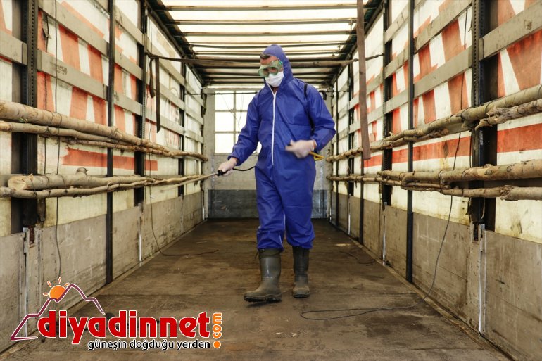 Büyükşehirlere kazandı sevkiyatı hız kurbanlık 12