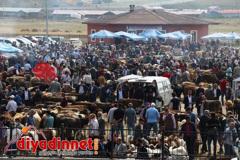 Büyükşehirlere kazandı kurbanlık hız sevkiyatı 14