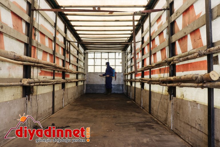 sevkiyatı hız kurbanlık Büyükşehirlere kazandı 16