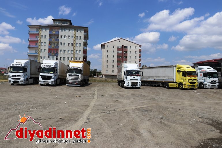 Büyükşehirlere sevkiyatı kurbanlık hız kazandı 8