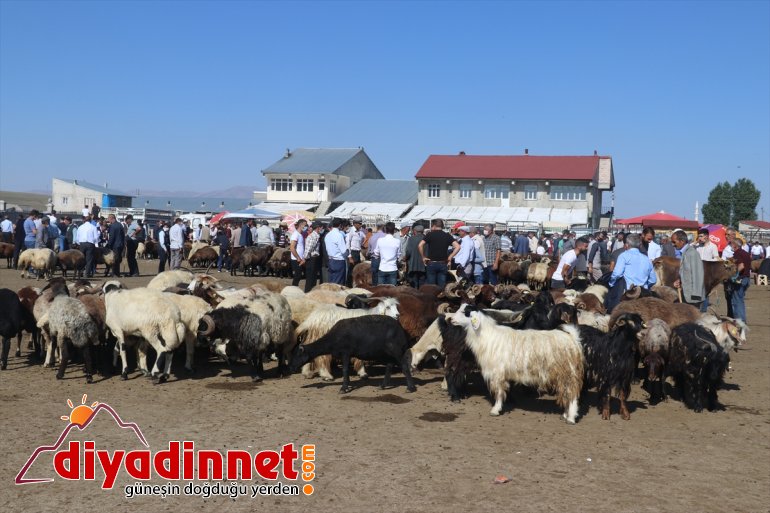 Ağrı hayvan pazarında arife hareketliliği