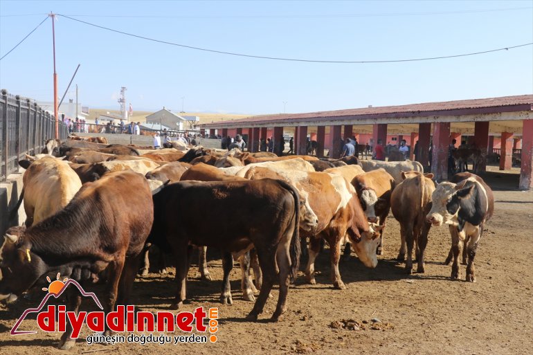 pazarlarında arife Doğu Anadolu