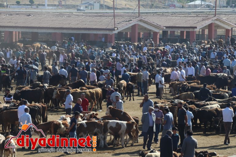 pazarlarında Anadolu