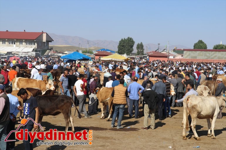 pazarlarında Doğu Anadolu