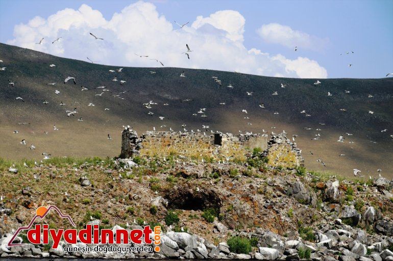 kuşlar katıyor Gölü