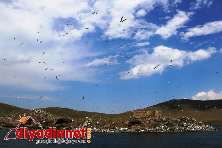 Göçmen kuşlar Balık Gölü'ne renk katıyor