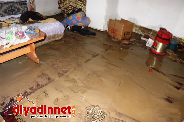 selin  izleri - siliniyor olan Hasara neden AĞRI 14