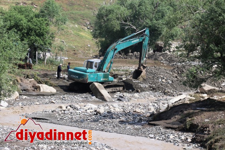 selin izleri olan - Hasara neden  siliniyor AĞRI 16