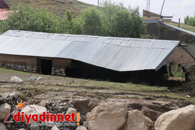 Hasara AĞRI selin siliniyor - izleri neden  olan 18