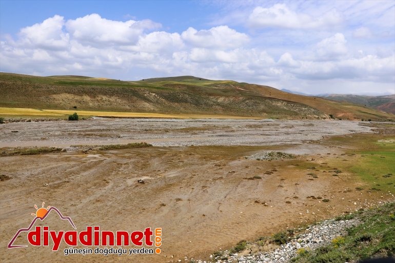 Hasara izleri olan AĞRI - selin  siliniyor neden 8