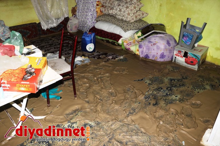 AĞRI izleri - siliniyor olan selin  neden Hasara 10