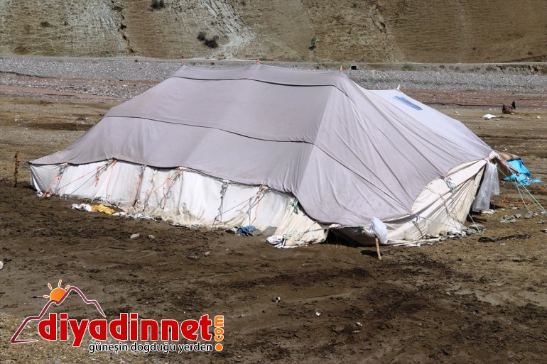 AĞRI olan selin neden - yaraları Hasara sarılıyor 1