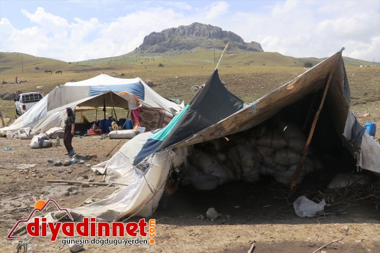 Hasara neden yaraları selin sarılıyor - olan AĞRI 4