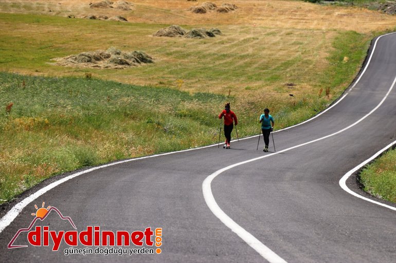 Milli kayaklı koşucular, olimpiyat kotası için asfaltta ter döküyor