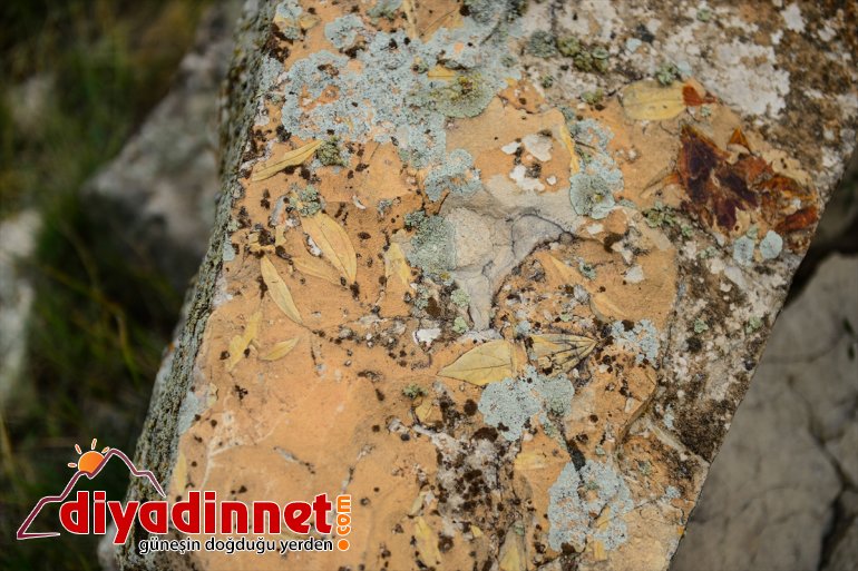 çıktı kenarı IĞDIR çatısı geçmişte Türkiye