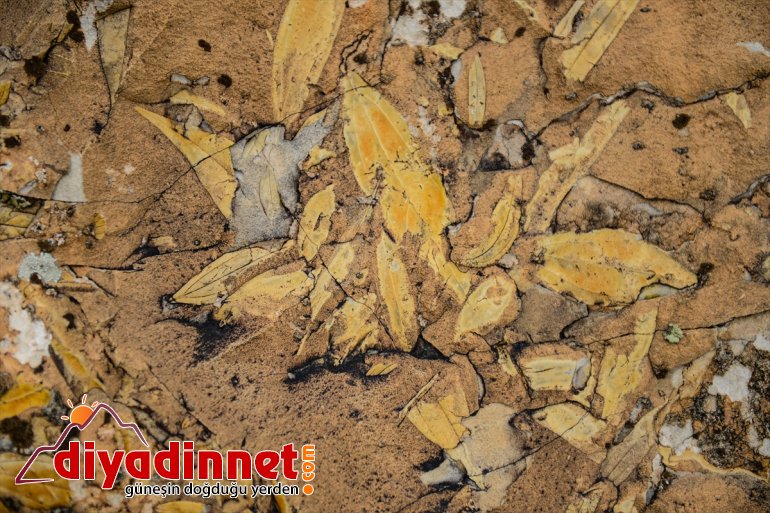 geçmişte deniz - çıktı IĞDIR kenarı çatısı Türkiye