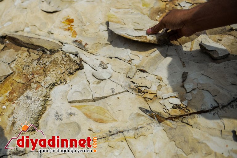 - çıktı geçmişte kenarı IĞDIR Türkiye