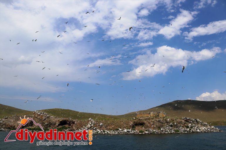 korunarak Gölü Balık turizme zirvesindeki yapısı kazandırılacak Türkiye