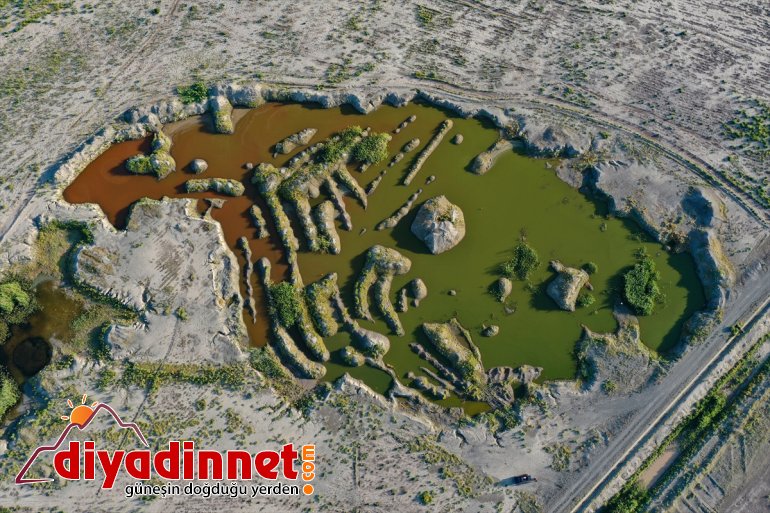 Ağrı Dağı eteklerindeki renkli sulak alanlar ilgi çekiyor
