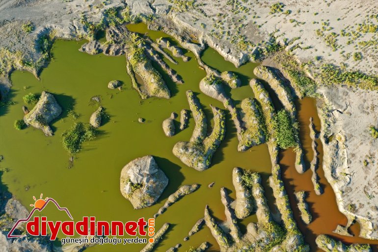 renkli ilgi - eteklerindeki Dağı sulak Ağrı IĞDIR çekiyor alanlar 11