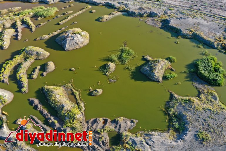 IĞDIR çekiyor sulak Ağrı renkli alanlar ilgi - eteklerindeki Dağı 12