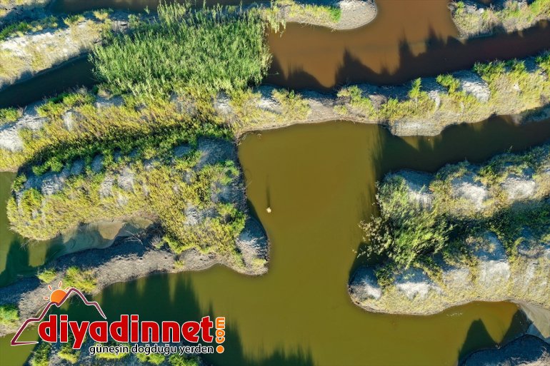 eteklerindeki Dağı alanlar çekiyor sulak ilgi Ağrı - IĞDIR renkli 3