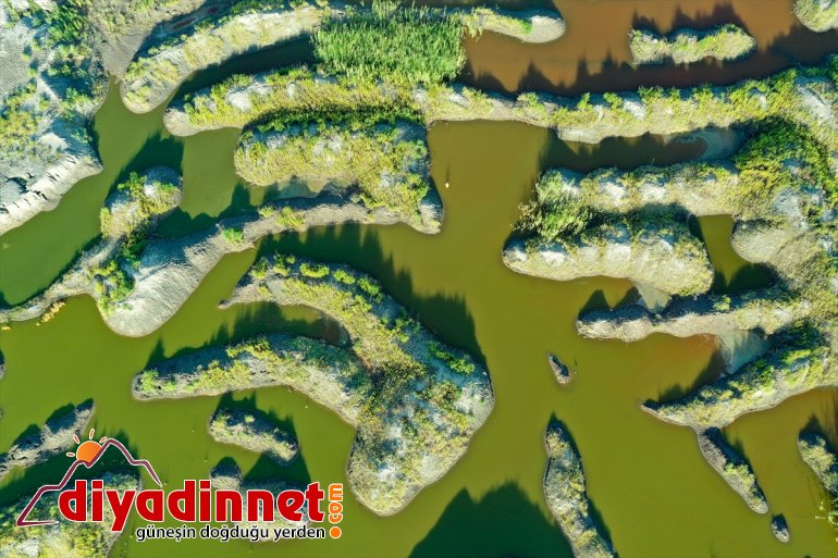 çekiyor ilgi Dağı eteklerindeki alanlar renkli sulak - IĞDIR Ağrı 4