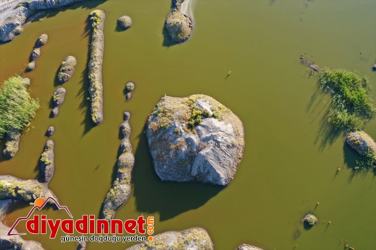 alanlar sulak - IĞDIR çekiyor Dağı renkli Ağrı eteklerindeki ilgi 6