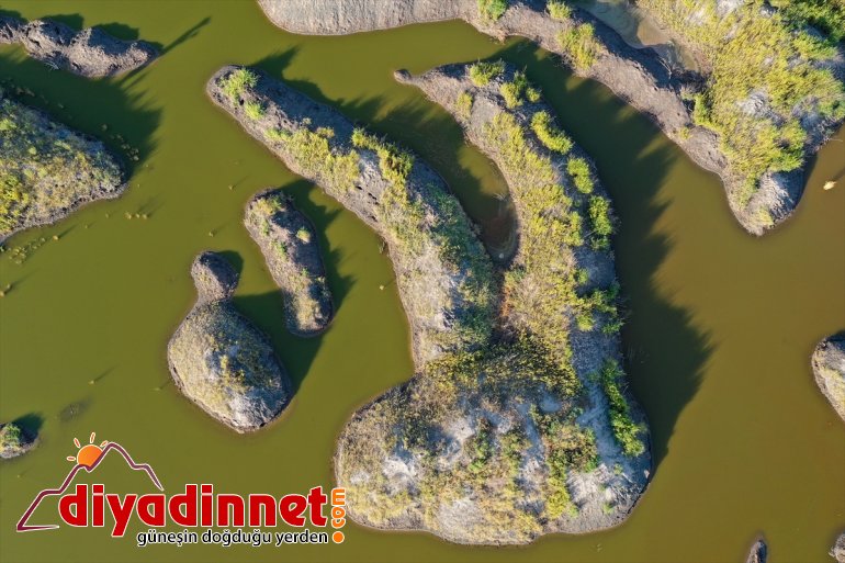 eteklerindeki - IĞDIR sulak çekiyor ilgi Ağrı alanlar renkli Dağı 7