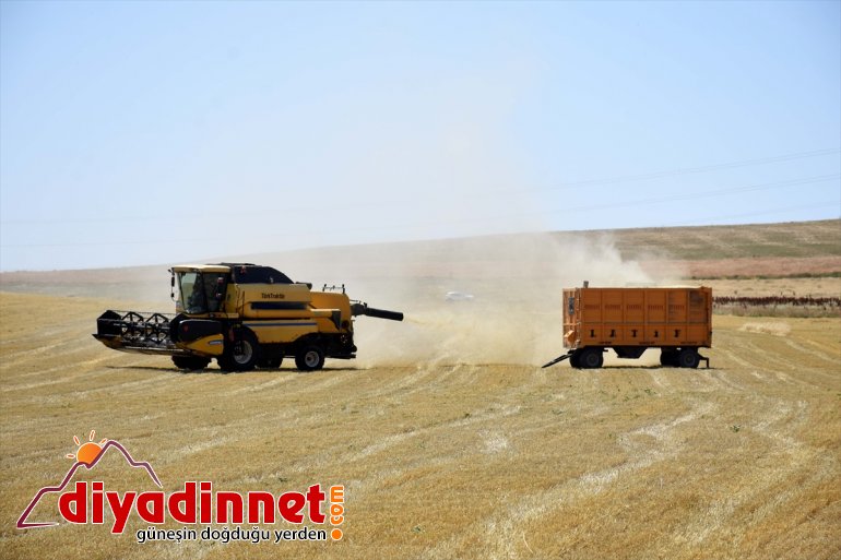 parası Muş - Biçerdöver MUŞ ter için döküyor ekmek Ovası