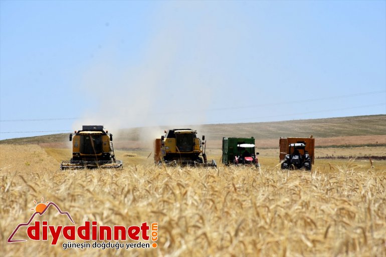 operatörleri Ovası