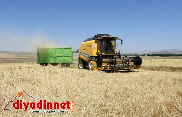 döküyor için - ter operatörleri Muş parası MUŞ Biçerdöver Ovası