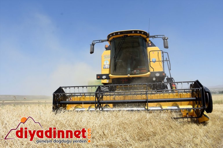 parası ekmek Biçerdöver MUŞ operatörleri ter için Ovası