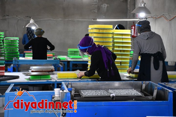 Devlet desteğiyle kurduğu fabrika ile hayalini gerçekleştirip istihdama katkı sunuyor