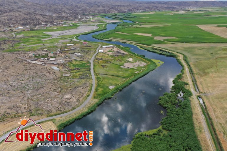 "Doğu'nun kuş cenneti"nde göç hazırlığı başladı