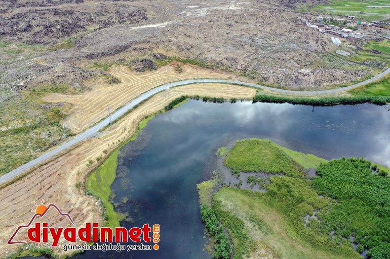 cennetinde başladı hazırlığı kuş göç Doğu